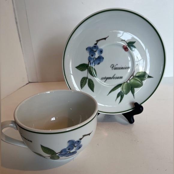 Apilco French Elysian Garden Porcelaine Oversized Breakfast Cup and Saucer - Picture 14 of 15
